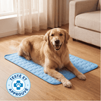 Tapis rafraîchissant Foyer Studio