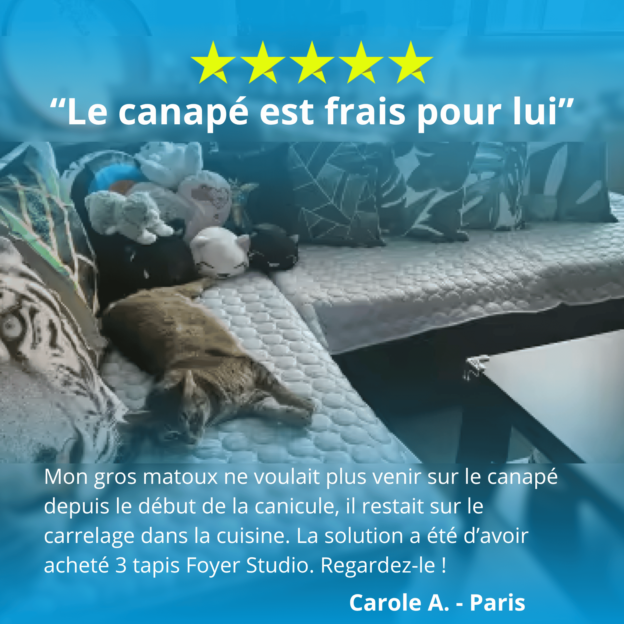 Tapis rafraîchissant Foyer Studio
