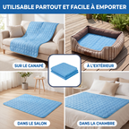 Tapis rafraîchissant Foyer Studio