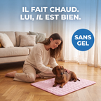 Tapis rafraîchissant Foyer Studio