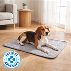 Tapis rafraîchissant Foyer Studio